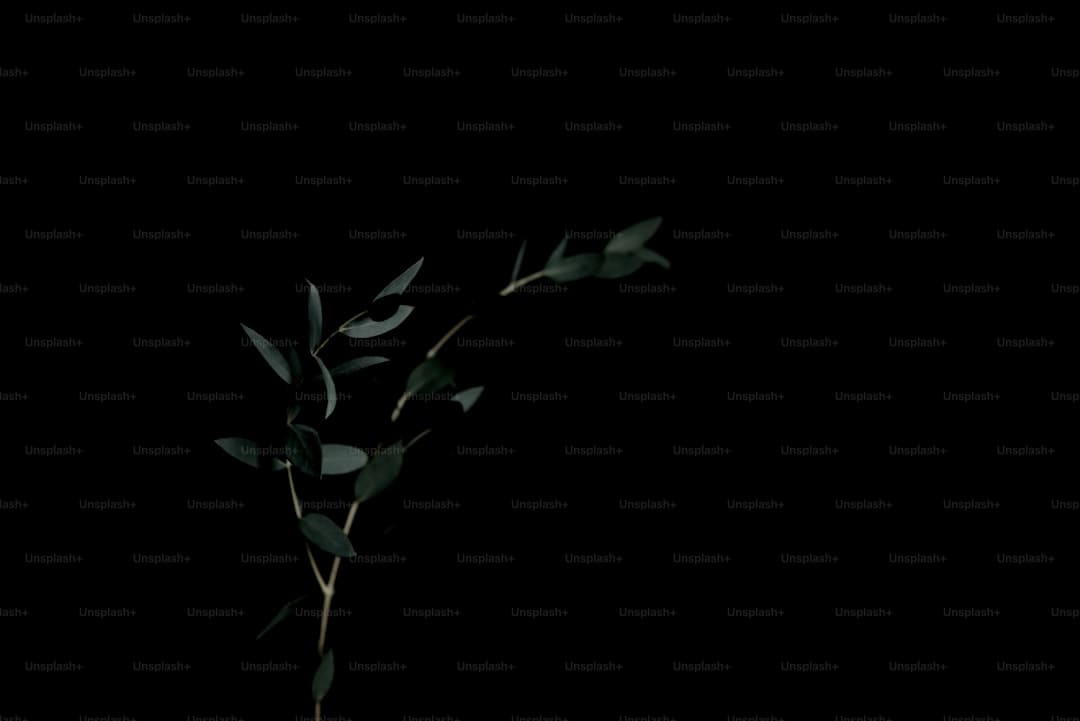 http://n.sinaimg.cn/translate/w900h675/20180310/v09M-fxpwyhw7544904.jpg?zdy